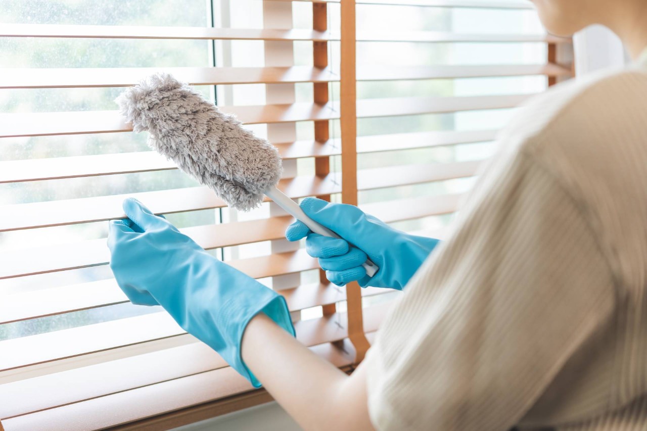 Person wearing blue gloves dusting window blinds at Blinds Plus near Springfield, Missouri (MO)